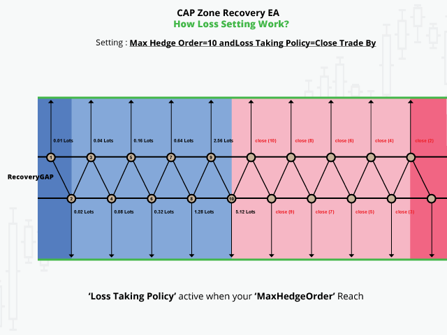 CAP Zone Recovery EA Pro - Review