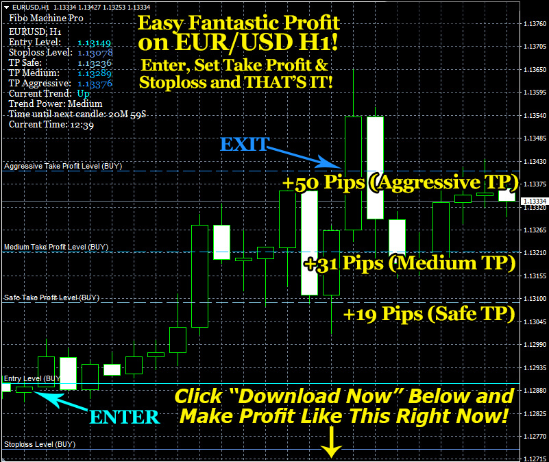 Fibo Machine Pro Indicator