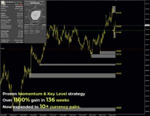 Dynamic Pips MT4